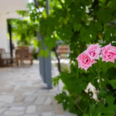 Villa Lea *
